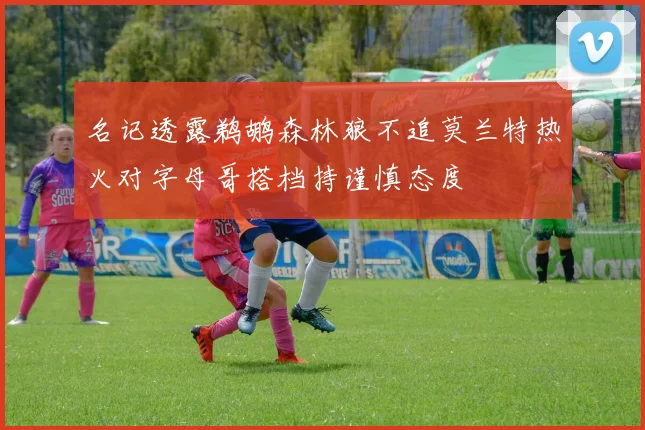 名记透露鹈鹕森林狼不追莫兰特热火对字母哥搭档持谨慎态度
