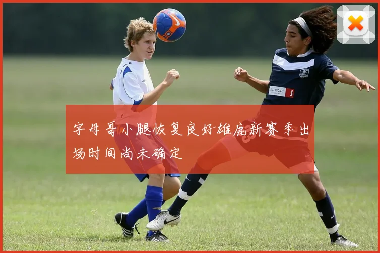 字母哥小腿恢复良好雄鹿新赛季出场时间尚未确定