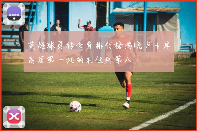 英超球员转会费排行榜揭晓卢卡库高居第一托纳利位列第八